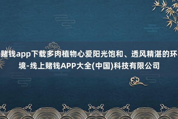 赌钱app下载多肉植物心爱阳光饱和、透风精湛的环境-线上赌钱APP大全(中国)科技有限公司
