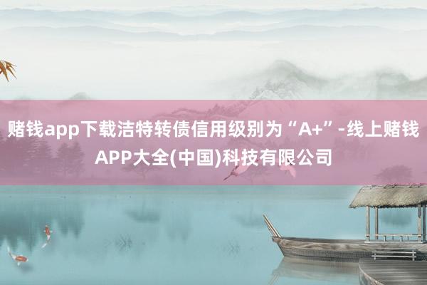 赌钱app下载洁特转债信用级别为“A+”-线上赌钱APP大全(中国)科技有限公司