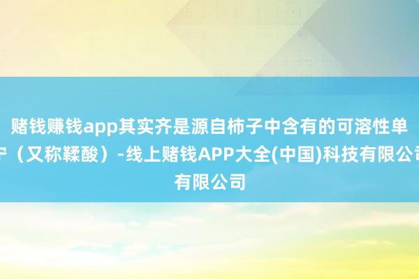赌钱赚钱app其实齐是源自柿子中含有的可溶性单宁（又称鞣酸）-线上赌钱APP大全(中国)科技有限公司