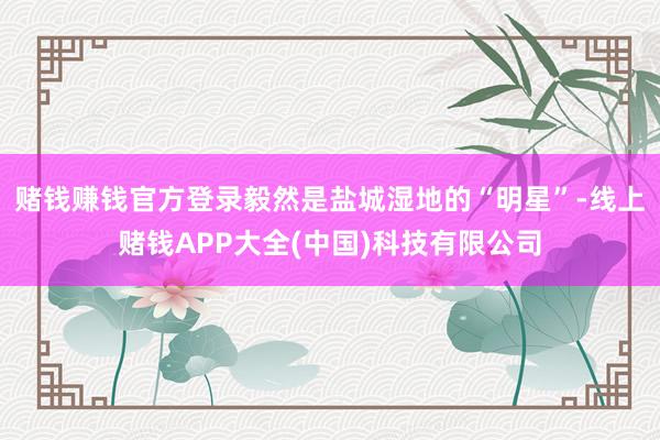 赌钱赚钱官方登录毅然是盐城湿地的“明星”-线上赌钱APP大全(中国)科技有限公司
