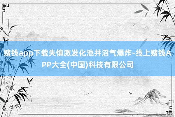 赌钱app下载失慎激发化池井沼气爆炸-线上赌钱APP大全(中国)科技有限公司