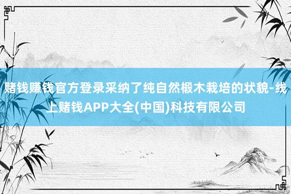 赌钱赚钱官方登录采纳了纯自然椴木栽培的状貌-线上赌钱APP大全(中国)科技有限公司