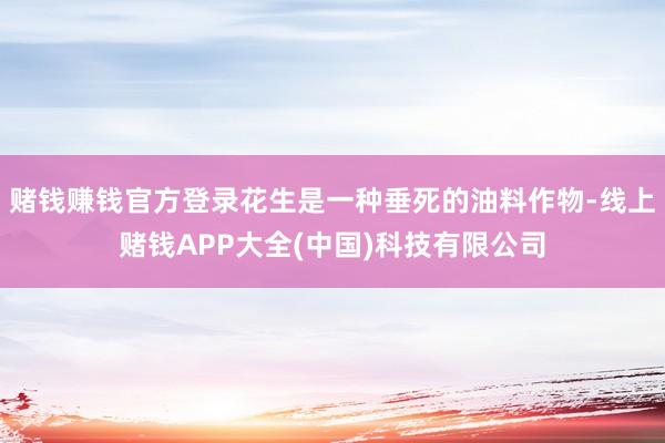 赌钱赚钱官方登录花生是一种垂死的油料作物-线上赌钱APP大全(中国)科技有限公司