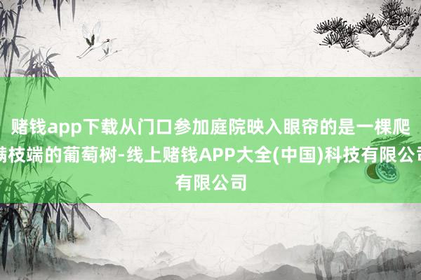 赌钱app下载从门口参加庭院映入眼帘的是一棵爬满枝端的葡萄树-线上赌钱APP大全(中国)科技有限公司