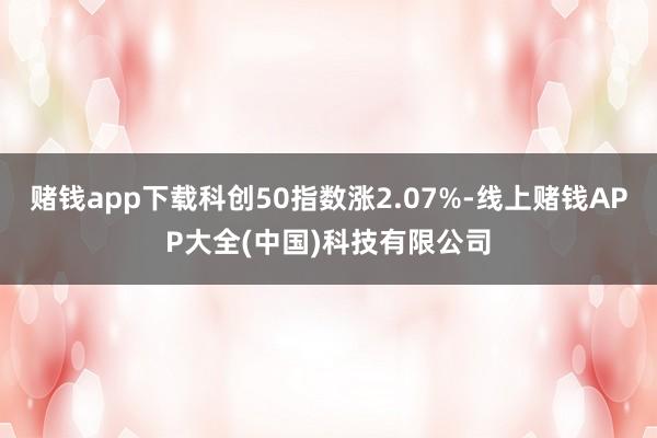 赌钱app下载科创50指数涨2.07%-线上赌钱APP大全(中国)科技有限公司