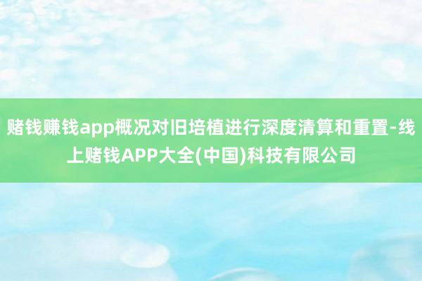 赌钱赚钱app概况对旧培植进行深度清算和重置-线上赌钱APP大全(中国)科技有限公司