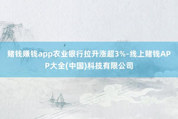 赌钱赚钱app农业银行拉升涨超3%-线上赌钱APP大全(中国)科技有限公司